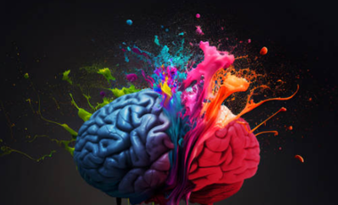 BrainPaint Reviews: Evidence, User Experiences, and How It Really Works Photo